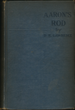 D. H. Lawrence Aaron's Rod